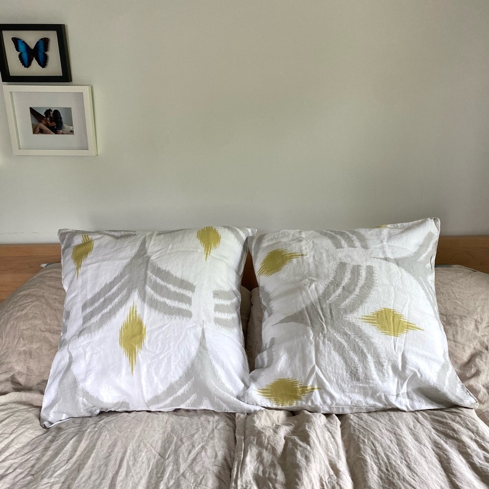 WEST ELM 100% linen euro sham